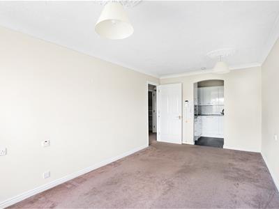 Picture 5